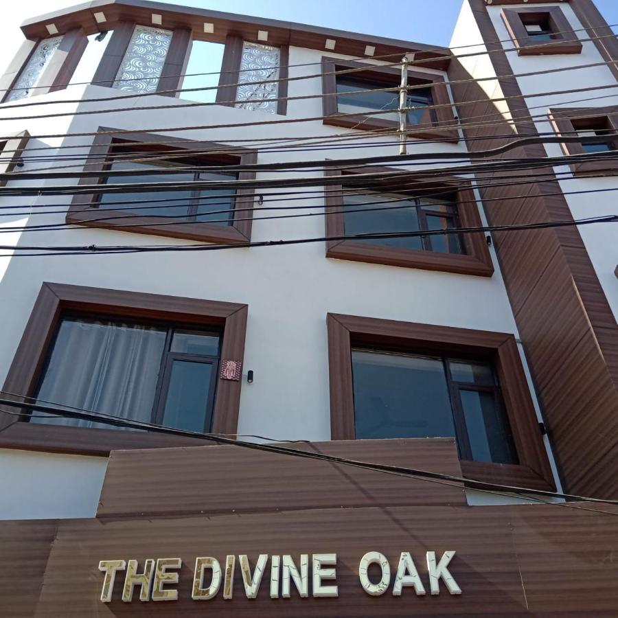 Hotel The Divine Oak Katra  Exteriér fotografie